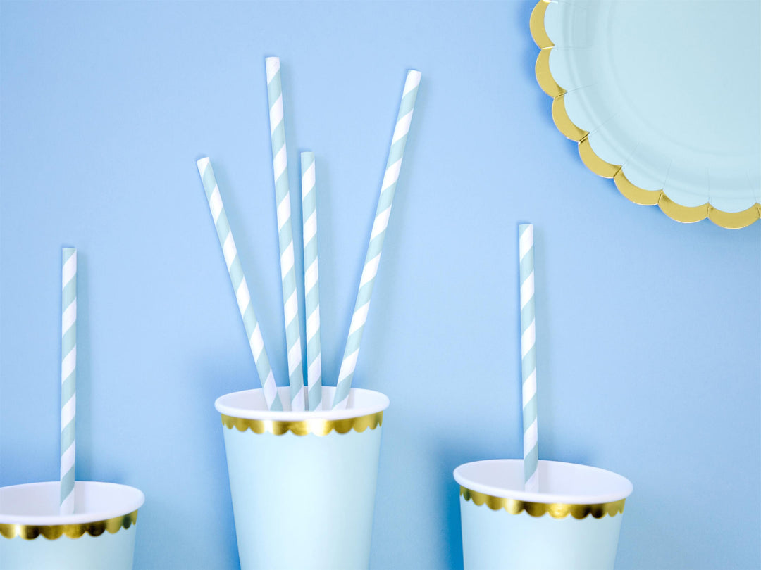 Paper Straws